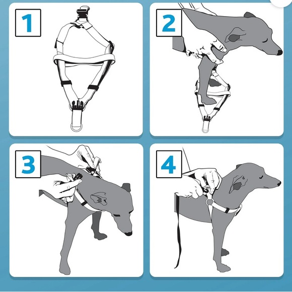 Vibrant Life Nylon Step-In-Dog Harness; size:Large - Picture 3 of 3